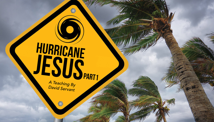 picture of sign, 'Hurricane Jesus,' in front of blowing palm trees