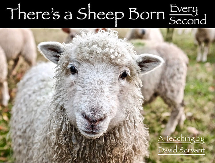 "There's a Sheep Born Every Second" - An e-Teaching by David Servant