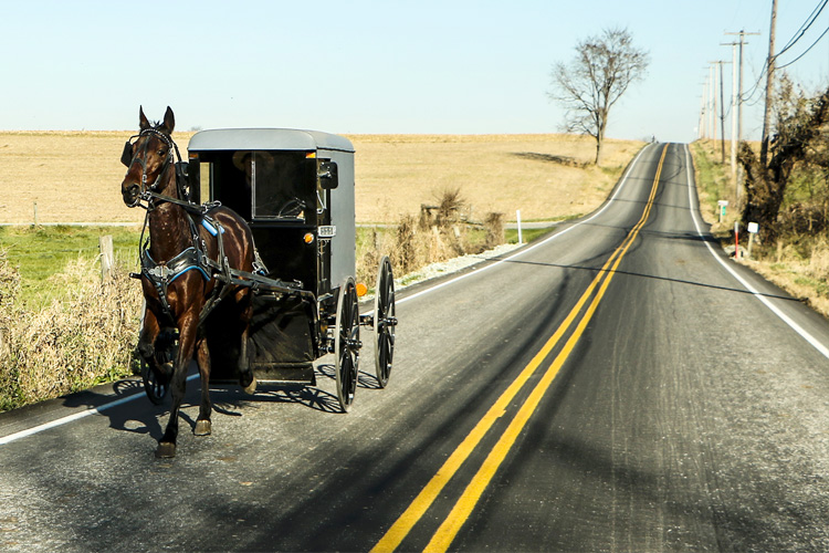 Picture of Amish buggy