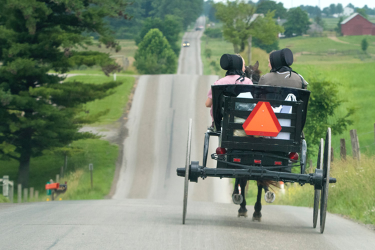 Picture of Amish Christians in buggy