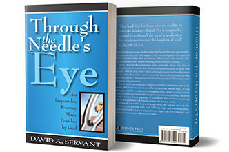 Picture of David's book, Through the Needle's Eye