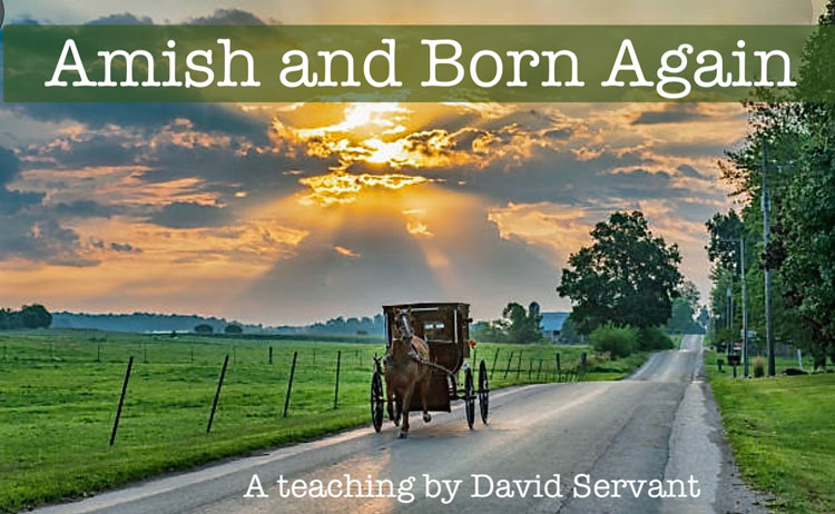 Image of Amish buggy - Amish and born again