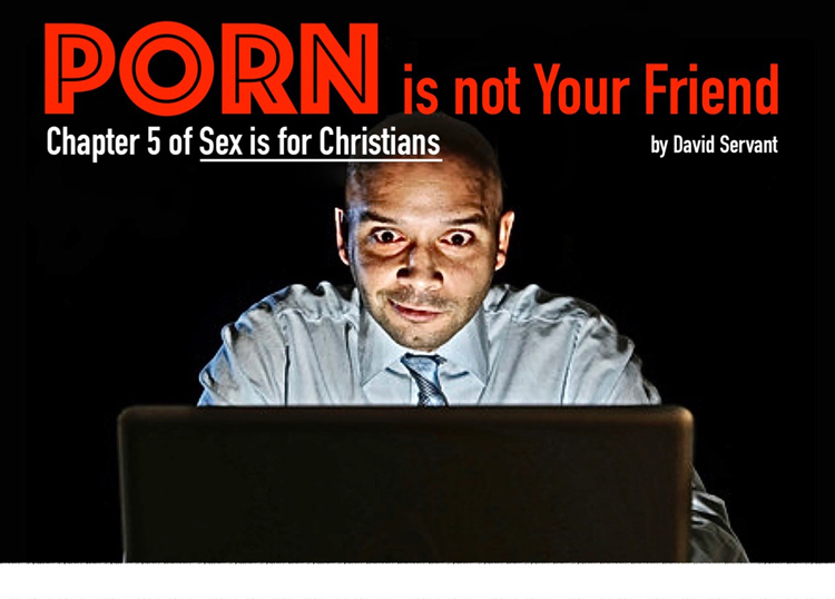 Porn Is Not Your Friend by David Servant