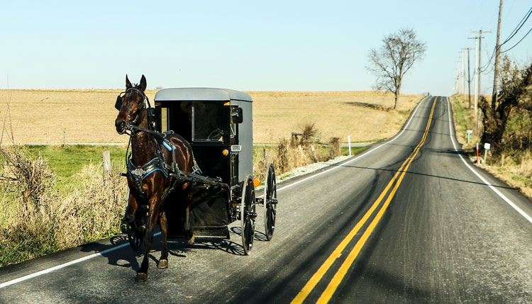 Image of Amish buggy