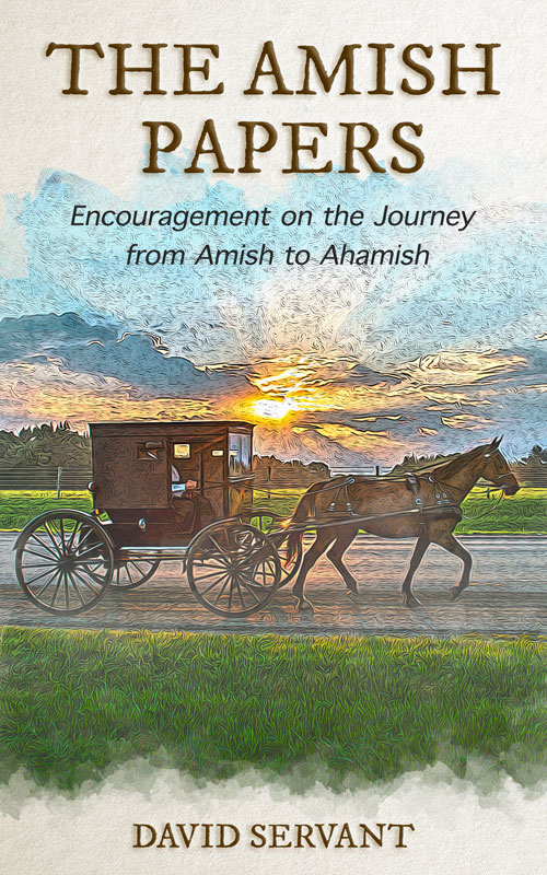 The Amish Papers